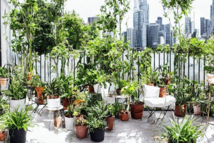 Fra balkon til paradis: Opdag de bedste plantestativer til små uderum